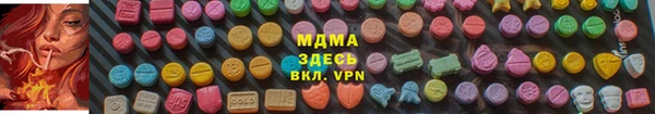 дживик Белокуриха